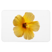 Geel Hibiscus Tropical Flower Floral Magneet (Horizontaal)