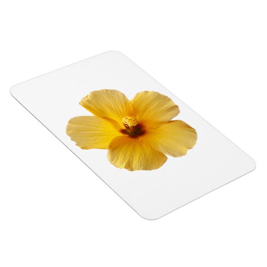 Geel Hibiscus Tropical Flower Floral Magneet (Rechterzijde)
