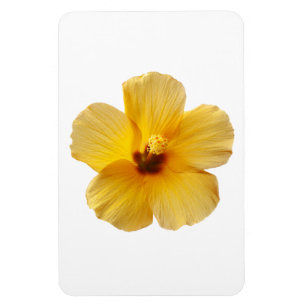 Geel Hibiscus Tropical Flower Floral Magneet