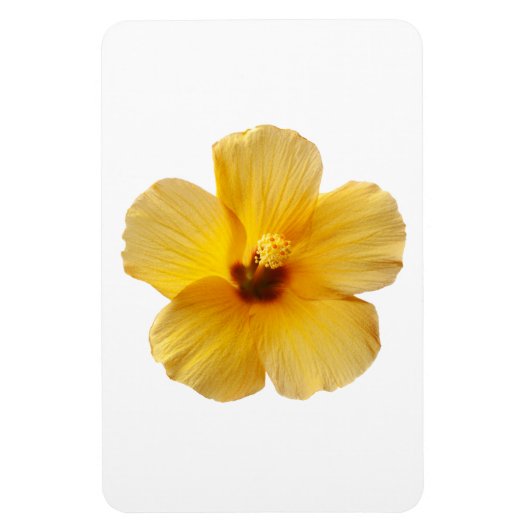 Geel Hibiscus Tropical Flower Floral Magneet (Verticaal)