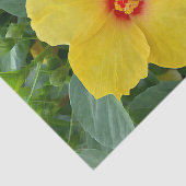 Geel Hibiscus-weefselpapier Tissuepapier (Detail)