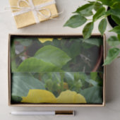 Geel Hibiscus-weefselpapier Tissuepapier (Geschenk)