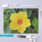 Geel Hibiscus-weefselpapier Tissuepapier (Craft)