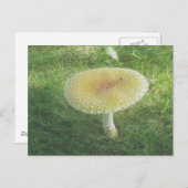 Geel Huge Mushroom Briefkaart (Voorkant / Achterkant)