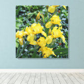 geel iris bloem tuin canvas afdruk (Insitu (Houten vloer))