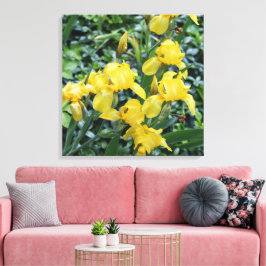  geel iris bloem tuin canvas afdruk