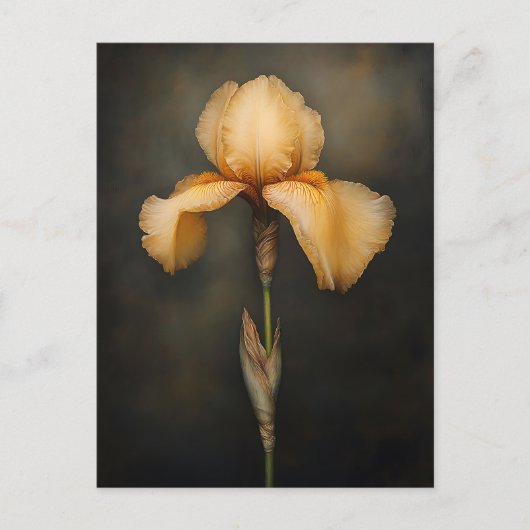 Geel iris botanisch schilderij briefkaart (Voorkant)