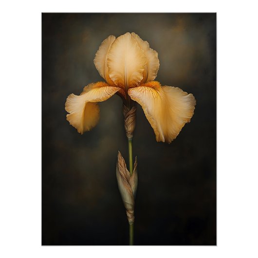 Geel iris botanisch schilderij perfect poster (Voorkant)