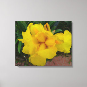 Geel Iris Flower Canvas Afdruk