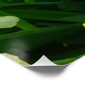 Geel Iris Flower Mix Perfect Poster (Hoek)