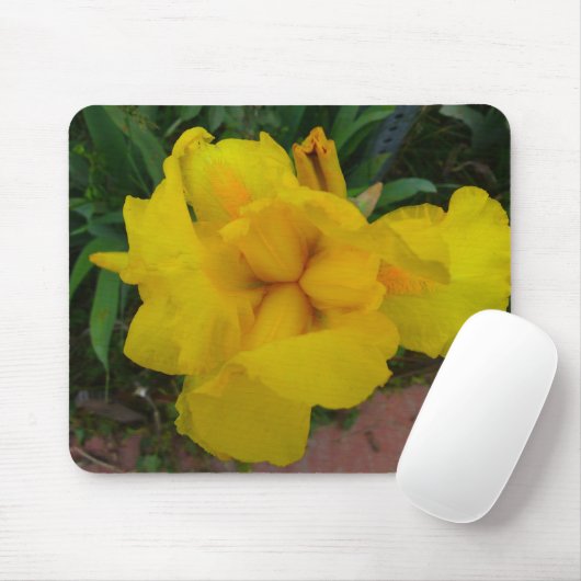 Geel Iris Flower Mousepad Muismat (Met muis)