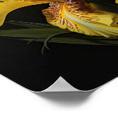 Geel Iris Flowers Art Print Poster (Hoek)