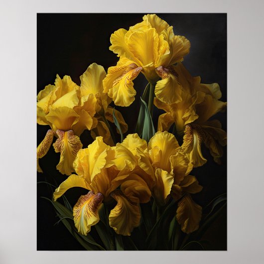 Geel Iris Flowers Art Print Poster (Voorkant)