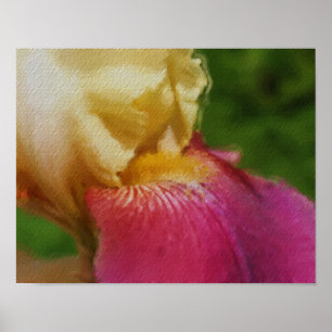 Geel Iris Petal fotoschilderende blowerkunst Poster