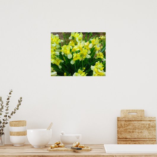 Geel Iris Poster (Keuken)