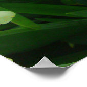 Geel Iris Poster (Hoek)