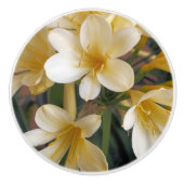 GEEL KERAMISCHE KNOP (Voorkant)