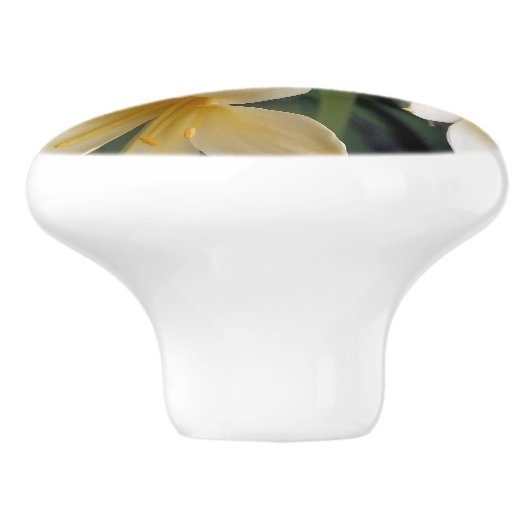 GEEL KERAMISCHE KNOP (Zijkant)