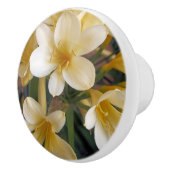 GEEL KERAMISCHE KNOP (Rechts)