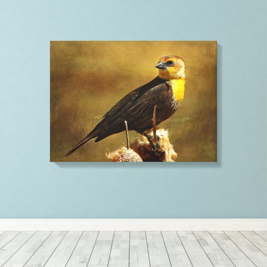 Geel-kopige Blackbird Stretched Canvas print (Insitu (Houten vloer))