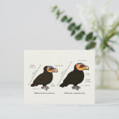 Geel-koppen Greater v Lesser Briefkaart (Staand voorkant)