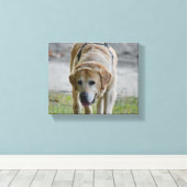 Geel LAb-Afbeelding Canvas Afdruk (Insitu (Houten vloer))