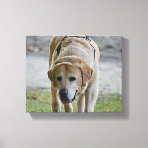 Geel LAb-Afbeelding Canvas Afdruk