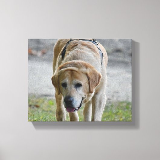 Geel LAb-Afbeelding Canvas Afdruk (Voorkant)