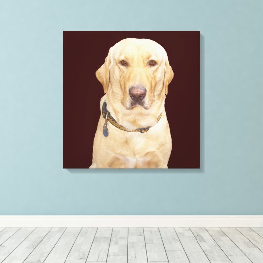 Geel lab canvas afdruk (Insitu (Houten vloer))
