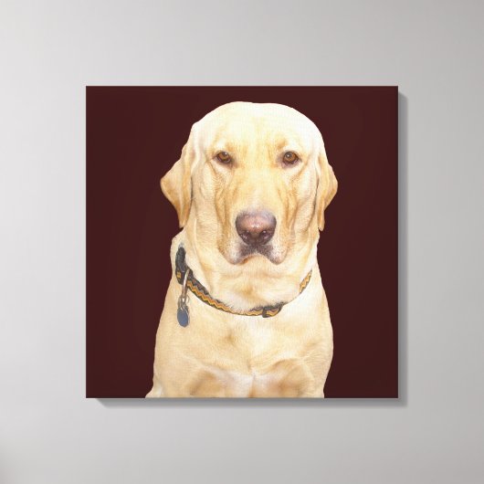 Geel lab canvas afdruk (Voorkant)