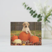 Geel lab in de Herfst Briefkaart (Staand voorkant)