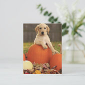 Geel lab in de Herfst Briefkaart (Staand voorkant)