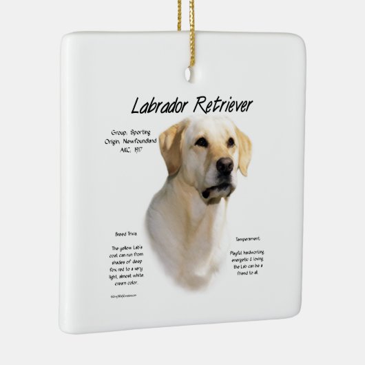 Geel lab keramisch ornament (Rechts)