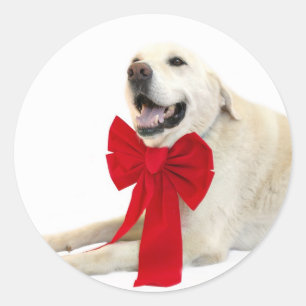 Geel lab Kerst sticker