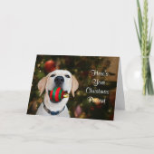 Geel lab kerstcadeau feestdagen kaart (Voorkant)