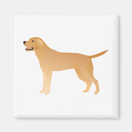 Geel lab - Labrador Retriever Breed Silhouette Magneet (Voorkant)