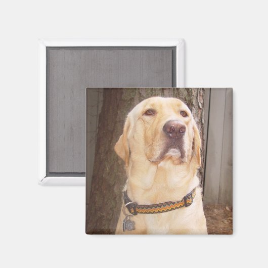 Geel lab magneet (Voorkant / Achterkant)