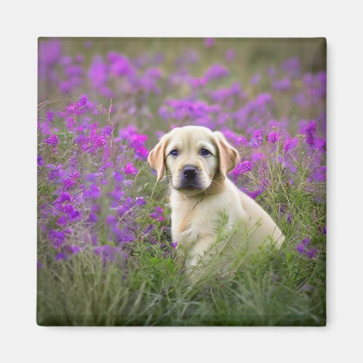 Geel lab magneet (Voorkant)