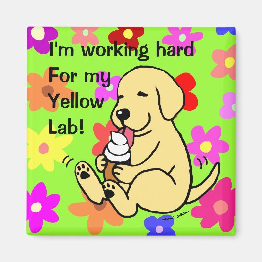 Geel lab met ijskap magneet (Voorkant)