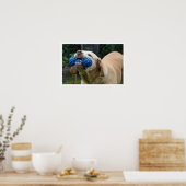 Geel lab met Speelgoed Poster (Keuken)