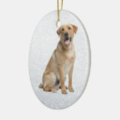 geel lab ornament (Links)