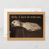 Geel lab Pit Husky Golly Ik weet zeker dat ik je m Briefkaart (Voorkant / Achterkant)