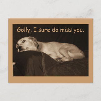 Geel lab Pit Husky Golly Ik weet zeker dat ik je m Briefkaart
