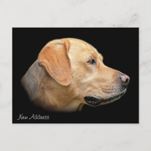 Geel Lab Portret Nieuw adres Aankondigingskaart