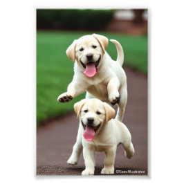 Geel lab Puppy Satin Foto Uitbreiding Afdruk