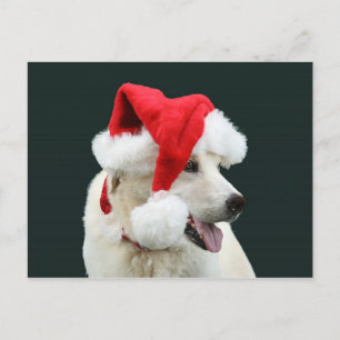 Geel lab Sinterklaas Feestdagenkaart