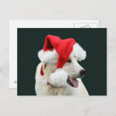 Geel lab Sinterklaas Feestdagenkaart (Voorkant / Achterkant)