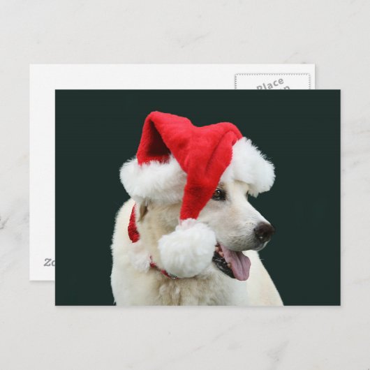 Geel lab Sinterklaas Feestdagenkaart (Voorkant / Achterkant)