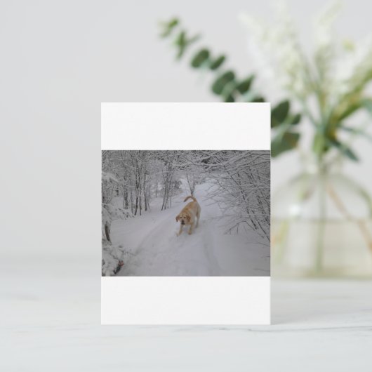 Geel lab spelen in verse wintersneeuw briefkaart (Staand voorkant)