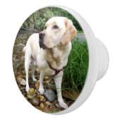 Geel lab, waterhond in een kreek keramische knop (Rechts)